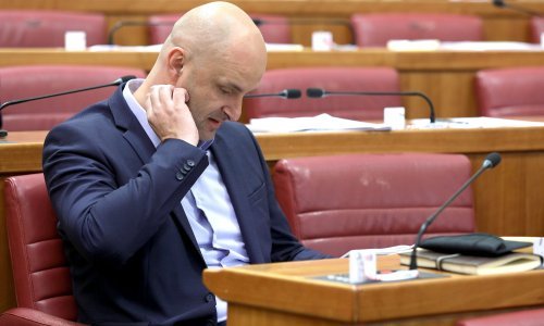 Bivši ministar Tolušić kritizirao proračun za 2020. na Odboru za poljoprivredu