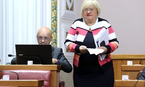 Mrak-Taritaš: Evo zašto treba ukinuti novčane pomoći za roditelja odgojitelja