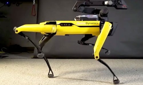 Ovaj 'strašni' robot-pas prvi put će izaći iz laboratorija, pogledajte što sve može
