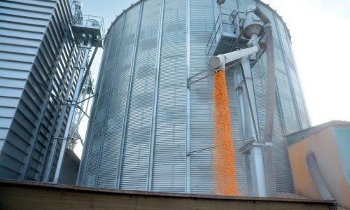 Muškarac poginuo silosu za kukuruz, zatrpala ga kukuruzna krupica