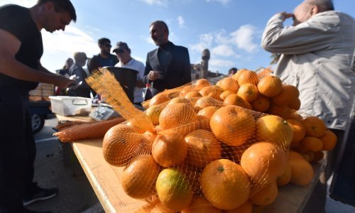 Proizvođačima mandarina 20 milijuna kuna potpora