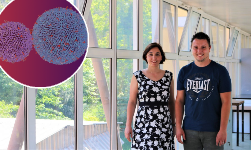 Ruđer zapošljava mlade znanstvenike, povratnike iz Njemačke. Dogodine počinje izgradnja novih laboratorija