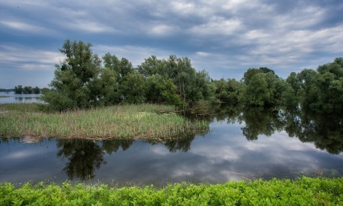 Stigli novinari, blogeri i fotografi iz Europe koji će otkriti čari Slavonije, Baranje, Srijema i Zagorja