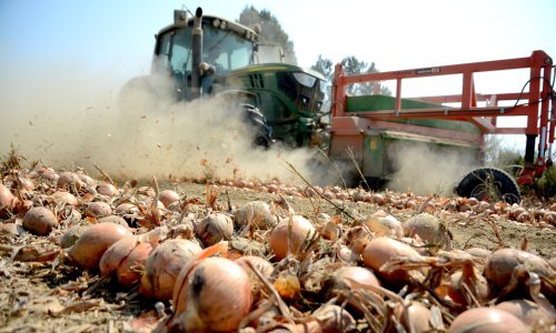 Od poljoprivrede bi se moglo jako dobro živjeti, ali treba posložiti ovih šest ključnih stvari