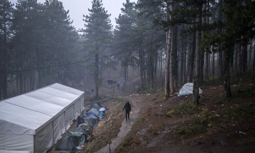 Humanitarac objavio video obezglavljenog čovjeka navodno nastao u BiH blizu granice s Hrvatskom