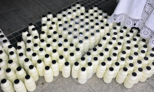 Kako zaustaviti pad proizvodnje mlijeka u Hrvatskoj? Farmeri; financiranjem solarnih i bioplinskih elektrana