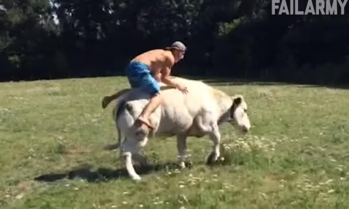 U listopadu ne pada samo lišće – pogledajte najveće dosadašnje failove!