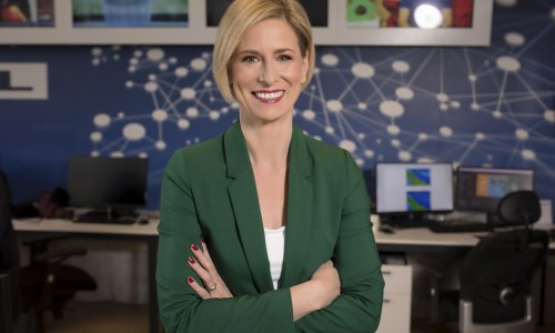 Otkrila novu vještinu: Dunja Mazzocco Drvar umjesto kukičanja naučila postavljati knauf