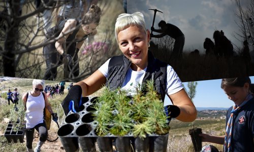 Razgovarali smo s ljudima koji stoje iza velike zelene akcije u Dalmaciji: Radi se i gušta, makar su kontinentalci iznenađeni kad vide koliko tu ima posla