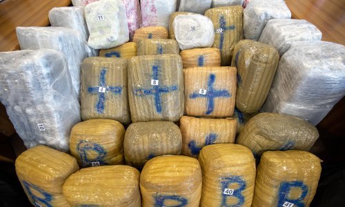 Optuženi za krijumčarenje više od 255 kilograma marihuane