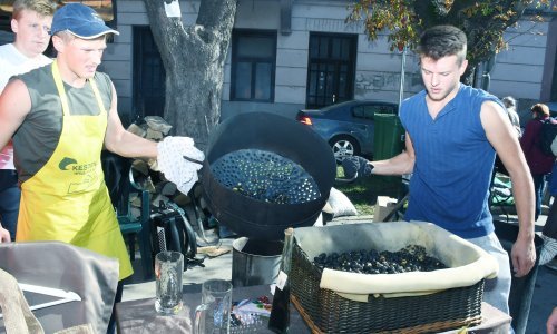 [FOTO] Ljubitelji kestena pohrlili u Hrvatsku Kostajnicu