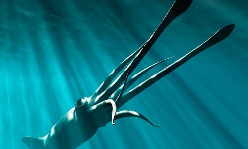 O divovskim lignjama, otkrivenim prije 150 godina, i dalje se ne zna gotovo ništa, a sad im prijeti i izumiranje