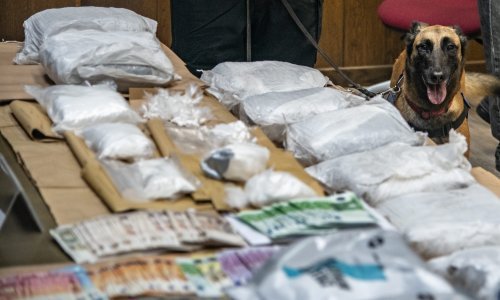 Pulskom sucu istrage dovedena četvorica zagrebačkih dilera; nanjušila ih Maša