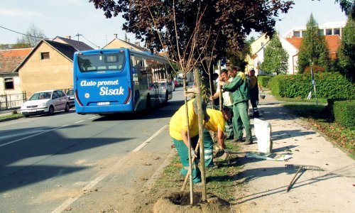 'Zeleni Sisak za zeleni planet': U jednom danu građani zasadili 145 stabala