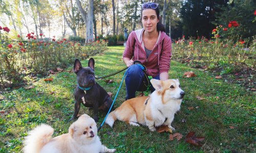 Šetnju s psima pretvorila je u ozbiljan biznis: U zadnjih dvije i pol godine uspjela sam doći do birane klijentele...