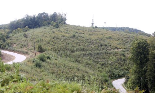 Bivši srpski 'teritorijalac' osumnjčen za ubojstvo civila kod Vojnića 1992.