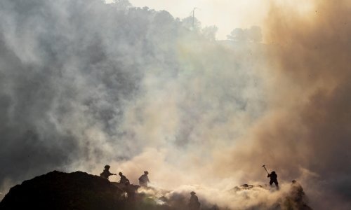 Požar pustoši kalifornijske vinograde, evakuiran Geyserville, na meti i loze Francisa Forda Coppole