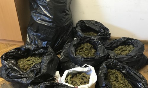 Splitska policija zaplijenila veliku količinu droge