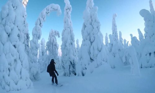 Pao je snijeg, a ovi božanstveni prizori iz Laponije ostavit će vas bez daha