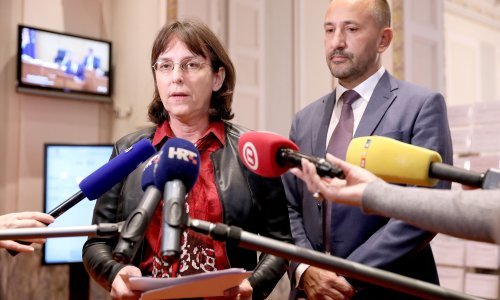 Zekanović: Istanbulska konvencija nije spriječila nasilje u obitelji i nad ženama