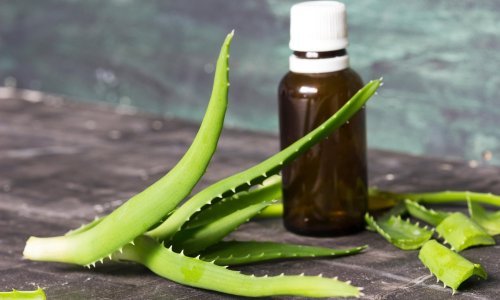 Jesenska priprema za zimu: Nove radionice u Kemig4u