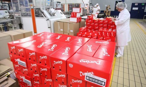 Hoće li unatoč odbijenici uprave braća Pivac dobiti Kraš ili će ga ipak preuzeti srbijanski tajkun Šaranović