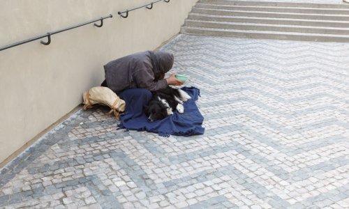 Humano srce splitskog Sveučilišta dijeli obroke beskućnicima
