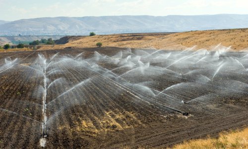 Aman treba preuzeti zemlju koju je prije 25 godina dao na raspolaganje Izraelu