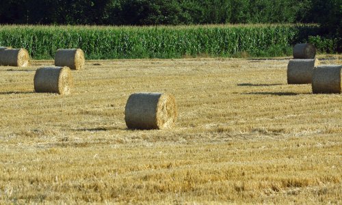 Prosvjed radnika vinkovačkoga PIK-a zbog raspolaganja državnim poljoprivrednim zemljištem