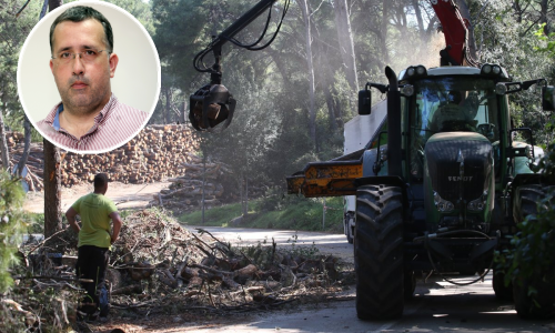 Zbog sječe na Marjanu pljušte kaznene prijave: Je li se šuma pustošila ili spašavala?