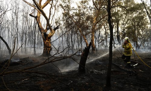Bjesne šumski požari u Australiji, stanovnici u skloništima