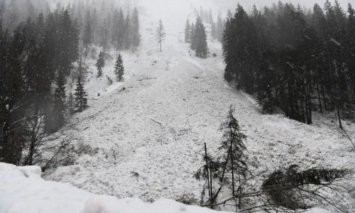 Austriju zatrpao snijeg, proglašena najviša opasnost od lavina