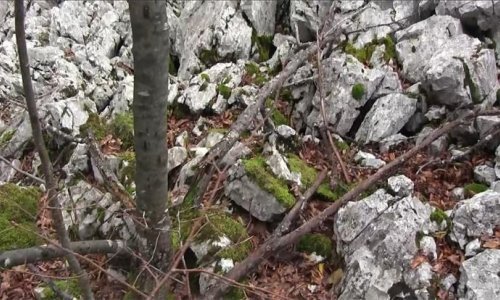 [VIDEO] MUP objasnio: Policajcu je zapela noga u ovoj stijeni, pa je slučajno nastrijelio migranta