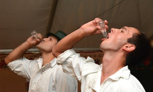 Više od polovice Hrvata pije 'žestice'; najdraži su nam likeri i rakija