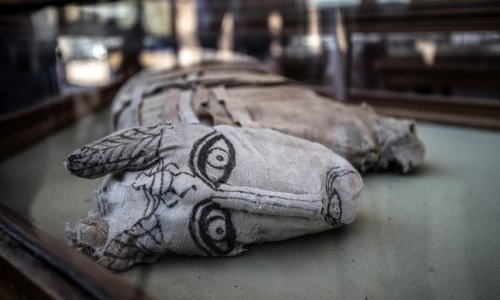 Predstavljena velika izložba životinjskih mumija s nalazišta Sakara blizu Kaira