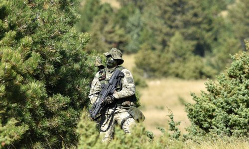 Vojnik zaustavio automobil, popeo se na krov i izvikivao navijačke parole