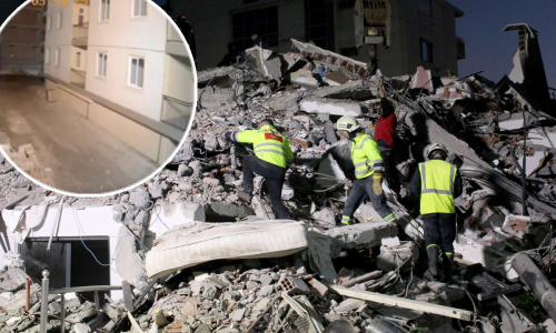 Mačka u Albaniji predosjetila potres?! Nije znanstvena fantastika, postoje slični zapisi stari tisuće godina