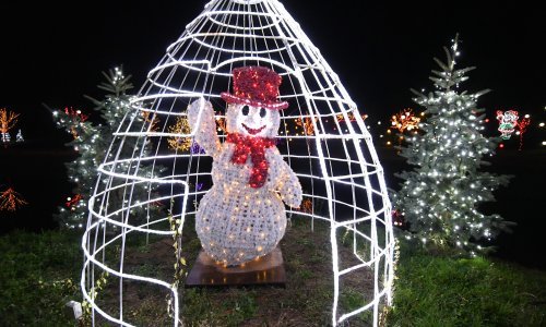 Obitelj Salaj i ove godine je nadmašila sebe po pitanju broja lampica