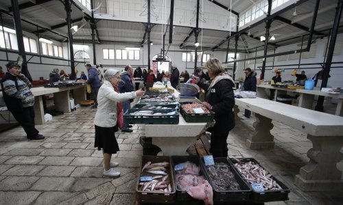 Nakon preseljenja ribarnice, problemi: Brod koji lovi 17 vrsta ribe mora ponudu složiti na štand gdje stanu četiri kašete!