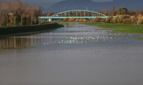 Velika potraga za nestalom ženom u Zagrebu: Traže je dronom i sonarima u Savi