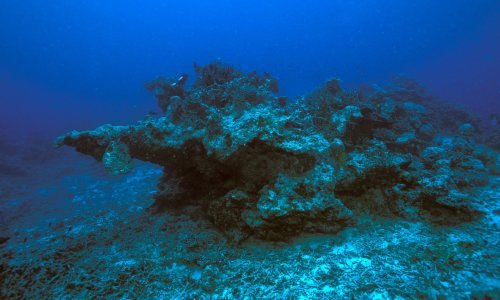 Klimatske promjene: S porastom temperature u oceanima nestaje kisika