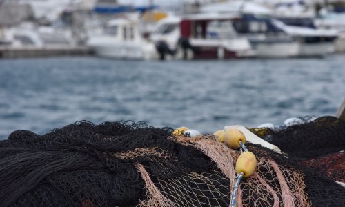 Ribar kraj Rogoznice ulovio morskog psa teškog pola tone, vratio ga u more