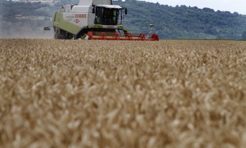 Fortenova traži 120 milijuna kuna za niz zemljišta Belja, Konzuma, Vupika i PIK-ova, a doznali smo jesu li uspjeli prodati Todorićev helikopter te jahtu