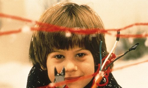 U trećem nastavku 'Sam u kući' zamijenio je Kevina, pogledajte kako danas izgleda