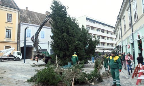 Hrvatska uvezla 215 puta više božićnih drvaca nego što je izvezla