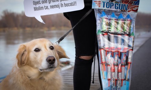 Kreće sezona petardi: Sve glasniji zahtjevi za zabranom, podsjećmo na važne detalje kad se tragedija već dogodi