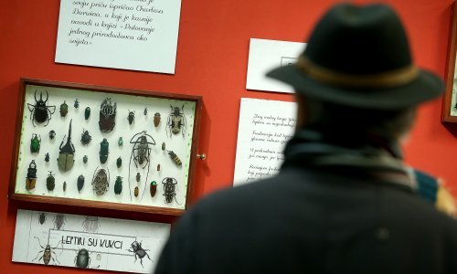 Hrvatski prirodoslovni muzej slavi rođendan uz izložbu 'Fosili u protoku vremena i umjetničkoj impresiji'