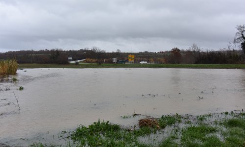 I Istra pod vodom: Obilne kiše poplavile polja u okolici Umaga i Buja