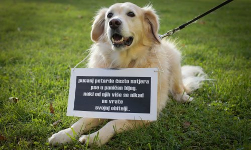 Hoće li 2020. biti zadnja koju ćemo dočekati uz pucnjavu i eksplozije?