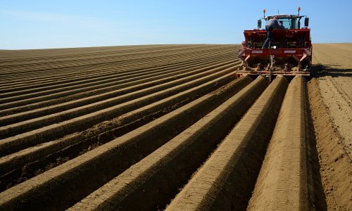 Više od 700.000 kuna za vukovarsko-srijemske ruralne projekte